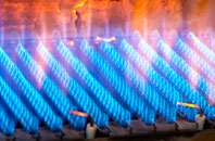 Crambe gas fired boilers